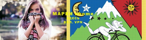 сатива Беломорск