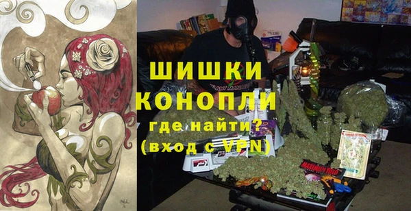 сатива Беломорск