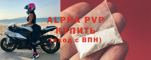 гашиш Богданович