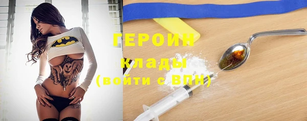 сатива Беломорск