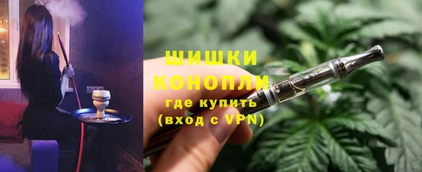 дмт Белокуриха