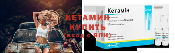 сатива Беломорск