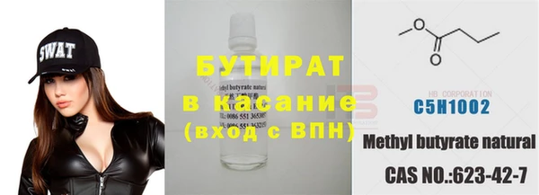 сатива Беломорск