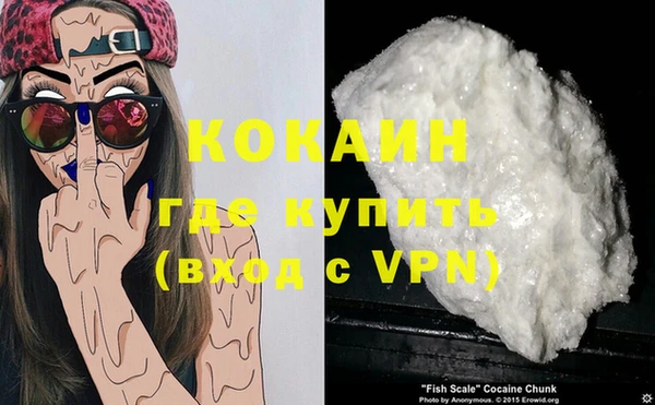 сатива Беломорск