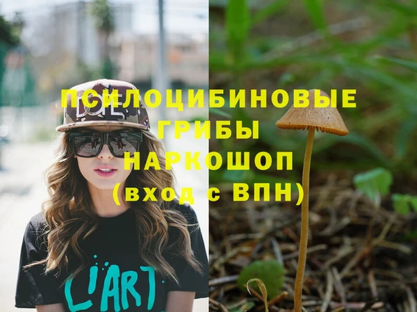гашик Белоозёрский