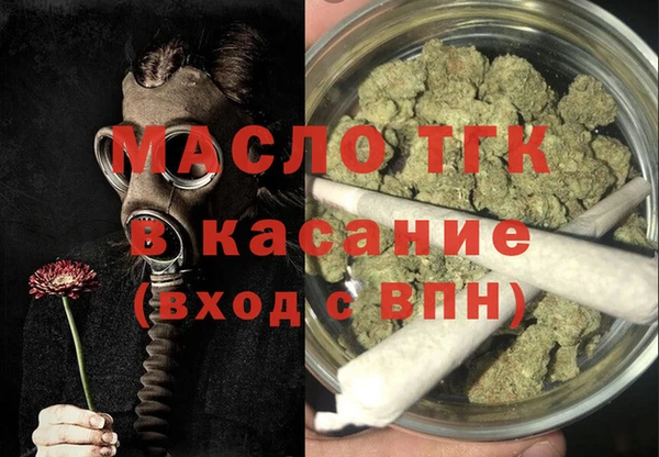 сатива Беломорск