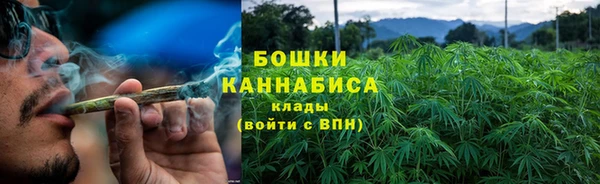 дмт Белокуриха